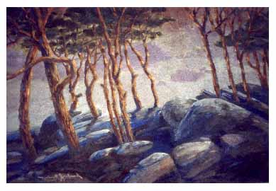 Midnight on the Madrones