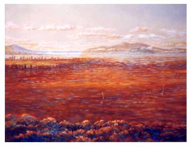 Morning on the Mudflats